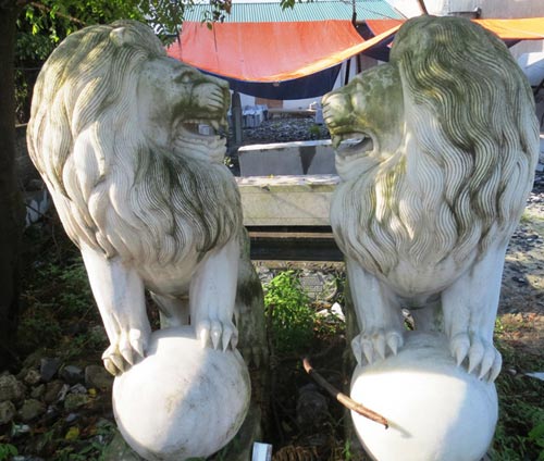 Cặp sư tử này có giá bán 120 triệu đồng nhưng giờ đây không có khách mua nên chủ cơ sở bỏ mặc cho rêu mọc xanh.